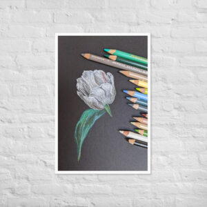 Tulip Study – Framed Matte Art Print