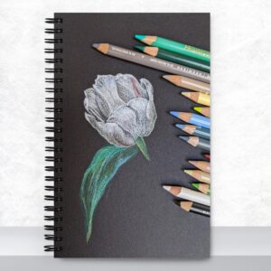 Tulip Study – Artist’s Spiral Notebook